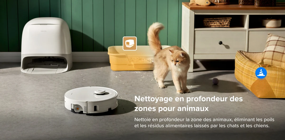 Roborock Qrevo Curv 2 Flow et sa station dans une pièce avec un chat et un panier pour animal.